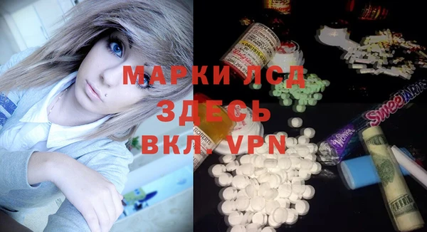 шишки Осинники