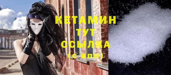 шишки Осинники