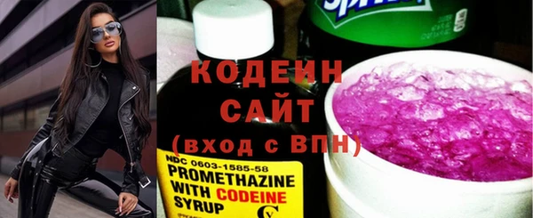 шишки Осинники